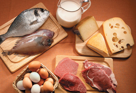 Dietas de proteínas | Dietas ricas en proteínas