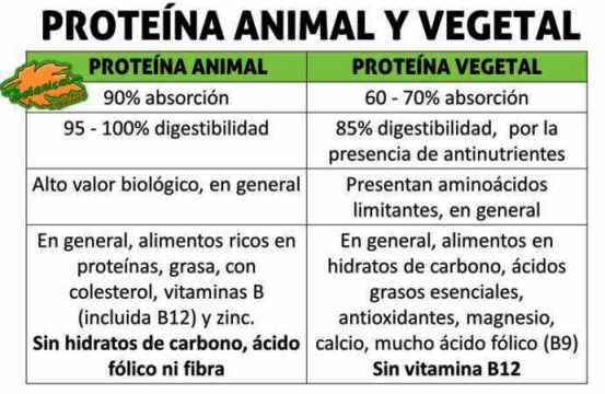 ¿Cuál es la diferencia entre las proteínas animales y vegetales?